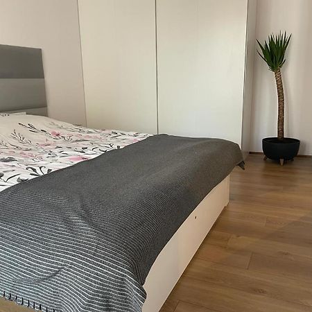 The Botanic Corner Apartment Wrocław Kültér fotó